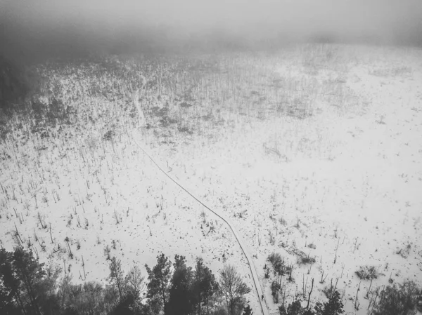 被雪覆盖的沼泽地 — 图库照片
