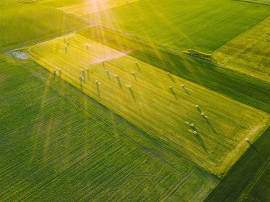 Litvanya 'daki yeşil tarım alanlarının insansız hava aracı görüntüleri