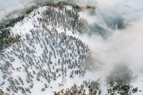 Drone Luchtfoto Van Besneeuwde Bergen Kronplatz Italië Het Een Berg — Stockfoto