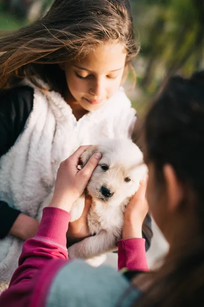 Niedliches kleines Mädchen mit Welpen — Stockfoto