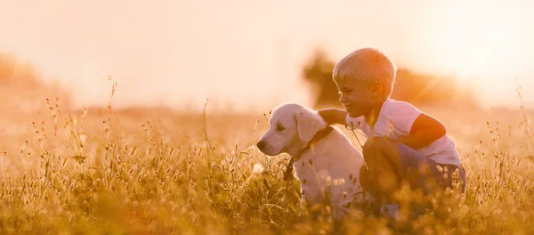 Child Boy Training Dog — Stock Photo, Image