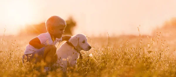 Child Boy Training Dog — Stock Photo, Image