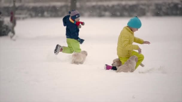 少年女孩与男孩玩耍与金黄猎犬狗在户外在冬天时间 — 图库视频影像