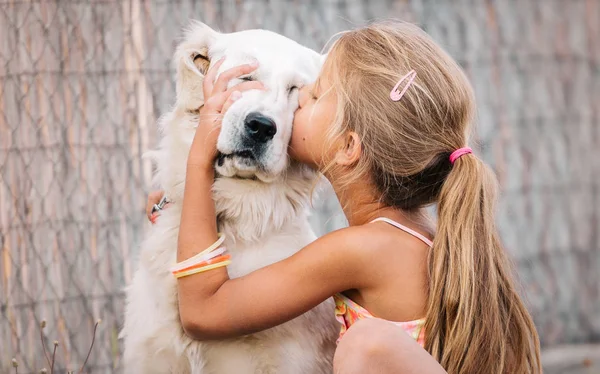 Kleines Mädchen Küsst Golden Retriever Hund Sommer Freien — Stockfoto