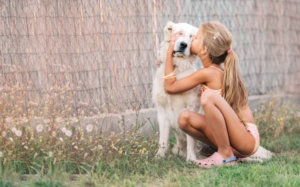 Маленькая Девочка Целует Золотую Собаку Открытом Воздухе Летом — стоковое фото
