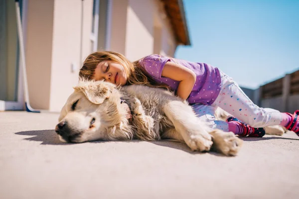 Genç Kız Golden Retriever Dog Pet Ile Oynuyor Açık Havada — Stok fotoğraf