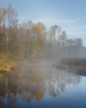 Puslu sabah Nehri üzerinde. Sonbahar Kanada