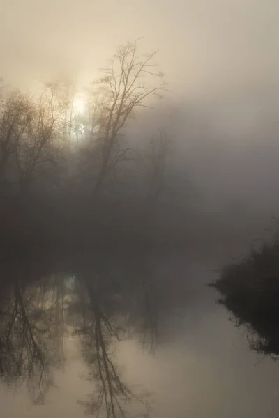 Mglisty poranek nad rzeką. Kanada jesień — Zdjęcie stockowe