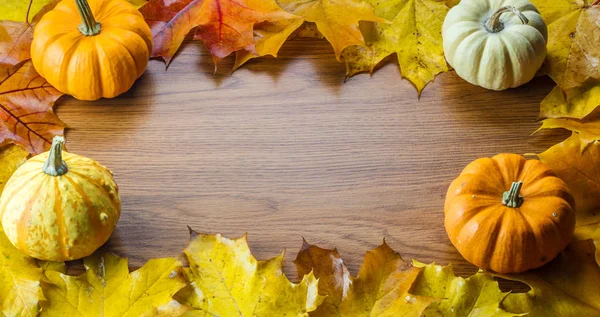 Cadre composé de feuilles d'automne colorées — Photo