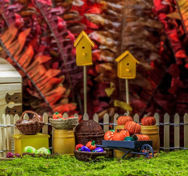 Citrouilles miniatures dans une cour de jouets — Photo