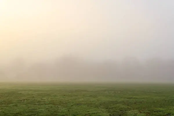 Gęstą mgłę rano w pejzaż zimowy — Zdjęcie stockowe