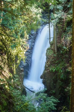 Cypress Falls Park West Vancouver, British Columbia Kanada üst şelale