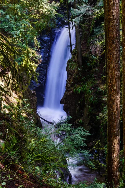 Cascada superior en Cypress Falls park West Vancouver Columbia Británica Canadá — Foto de Stock