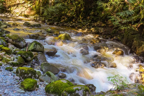 Beautiful Mountain Creek na floresta Cypress Falls Park British Columbia Canadá — Fotografia de Stock