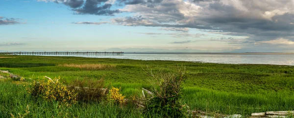 Утро в Iona Beach Regional Park Richmond Канада — стоковое фото