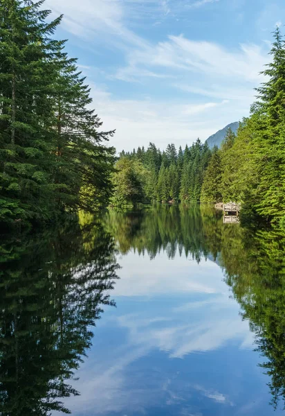 Orman ve bulutlu gökyüzü gölde yansıyan