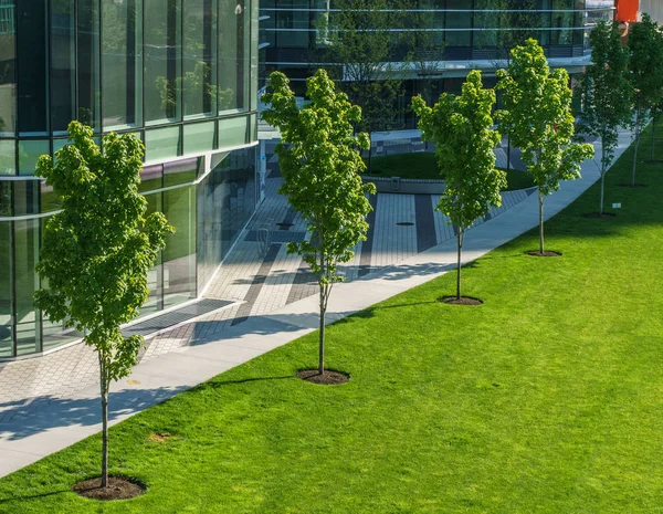 Vancouver Kanada - 23 Mayıs 2017, Mimarlık ve Vancouver Kanada binalarda False Creek yakın: