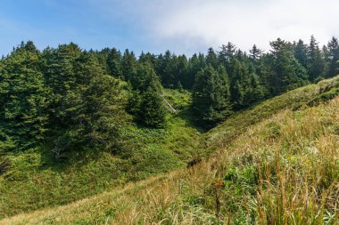 Cape hayal kırıklığı State Park Cape hayal kırıklığı Devlet Park Washington ABD kuzeybatı Pasifik kıyı şeridi görünümünü çarpıcı ABD - 22 Temmuz 2017.