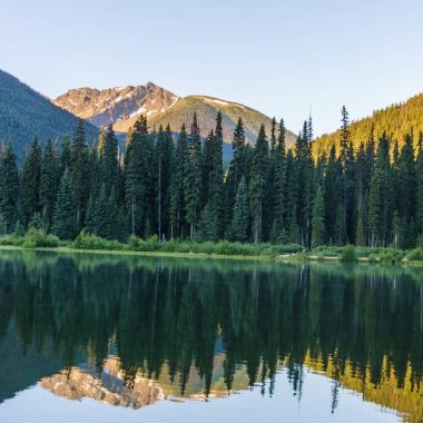Güneşli gün British Columbia Kanada dağlarında dağ gölü.