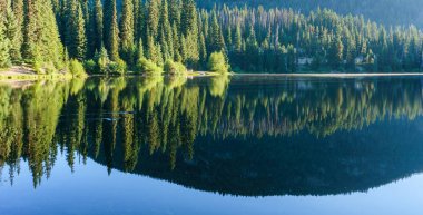 Güneşli gün British Columbia Kanada dağlarında dağ gölü.