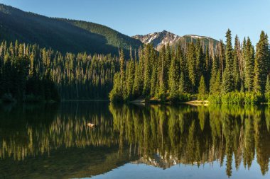Güneşli gün British Columbia Kanada dağlarında dağ gölü.