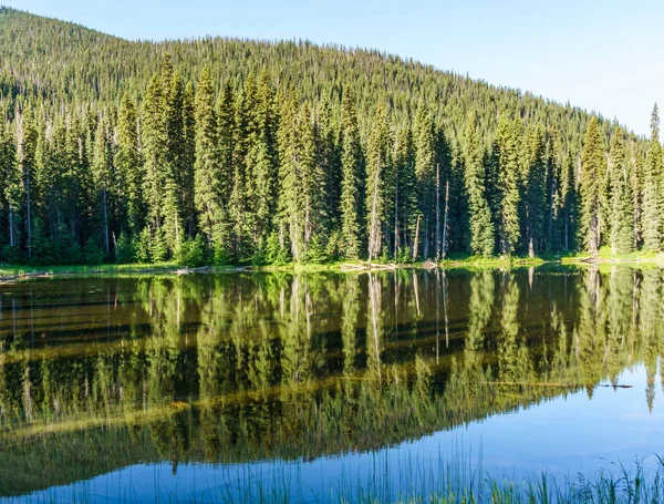 Güneşli gün British Columbia Kanada dağlarında dağ gölü.