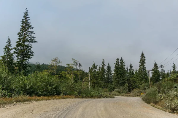 Gravel Road a nord nell'isola di Vancouver nel giorno nebbioso . — Foto Stock