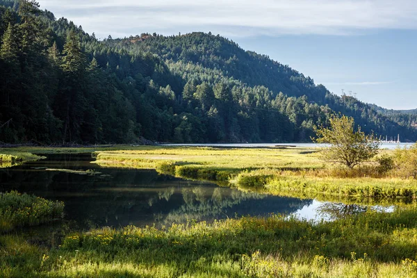 Marsh otlar ve dağ içinde belgili tanımlık geçmiş gelgit alıcılar ile su manzara sahne.