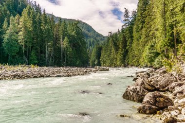Nairn Falls Provincial Park British Columbia Kanada'da güzel yüksek dağ yeşil nehir.