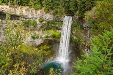 Brandywine Falls Provincial Park British Columbia Kanada'da hızlı hareketli şelale.