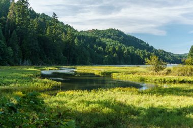 Sığ sularda Goldstream Provincial Park arka plan ve bulutlu gökyüzü Dağları ile.
