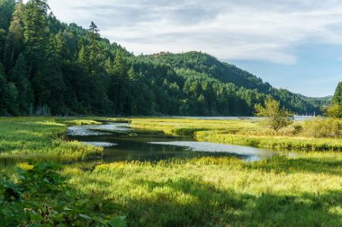 Sığ sularda Goldstream Provincial Park arka plan ve bulutlu gökyüzü Dağları ile.