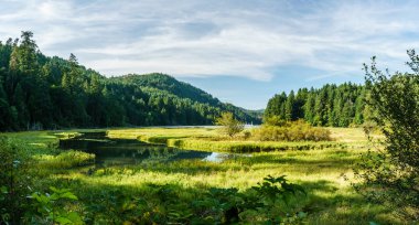 Sığ sularda Goldstream Provincial Park arka plan ve bulutlu gökyüzü Dağları ile.