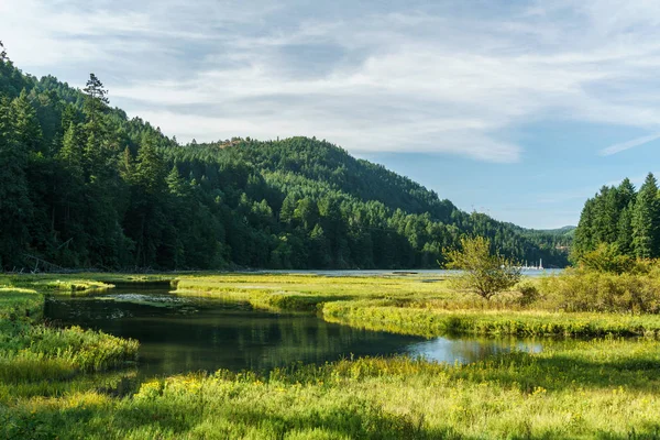 Sığ sularda Goldstream Provincial Park arka plan ve bulutlu gökyüzü Dağları ile.