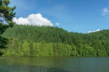 Alice Gölü yeşil orman ve mavi gökyüzü yaz gün Squamish Amerika Birleşik Devletleri.
