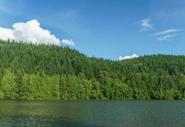 Alice Gölü yeşil orman ve mavi gökyüzü yaz gün Squamish Amerika Birleşik Devletleri.