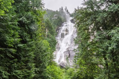 Squamish, Bc ağaçlarıyla çevrili, Shannon Falls yakınındaki.
