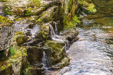 Kanadalı il Park'ta küçük şelale kapatın.