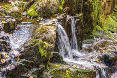 Kanadalı il Park'ta küçük şelale kapatın.