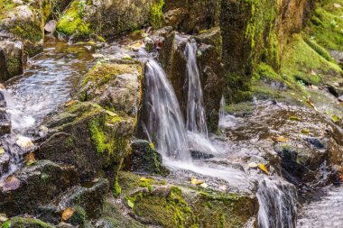 Kanadalı il Park'ta küçük şelale kapatın.