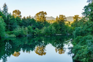 Hızlı dağ creeck veya yeşil ıslak ormandaki nehir.
