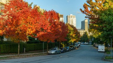 Vancouver, Kanada - 1 Ekim 2017: Euclid Avenue renkli bir sonbahar günü ağaçta.