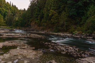 Hızlı dağ creeck veya yeşil ıslak ormandaki nehir.