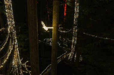 NORTH VANCOUVER, CANADA - January 27, 2018: New Year and Christmas lighting decoration at Capilano Bridge Park. clipart