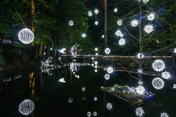 North Vancouver, Kanada - 27 Ocak 2018: yeni yıl ve Noel aydınlatma dekorasyon Capilano Bridge Park.