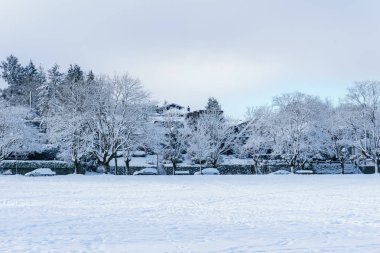 Vancouver, Kanada - 24 Şubat 2018: Kış sabahı kar blizzard Douglas Park'ta bir geceden sonra.