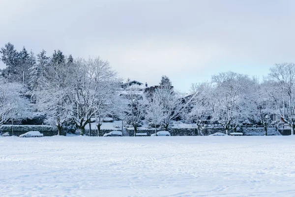 VANCOUVER, CANADÁ - 24 de febrero de 2018: Mañana de invierno después de una noche de ventisca en el parque Douglas . —  Fotos de Stock