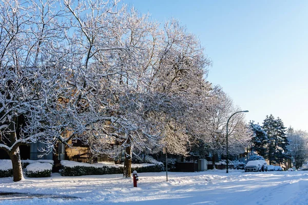 VANCOUVER, CANADÁ - 24 de febrero de 2018: Mañana de invierno después de una noche de ventisca nevada West 14th Avenue . —  Fotos de Stock