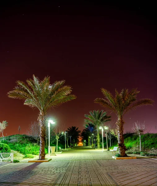 Πεζοδρομημένη ζώνη με φοίνικες τη νύχτα στην πόλη Ναχαρίγια, Ισραήλ. — Φωτογραφία Αρχείου