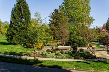 Vancouver, British Columbia, Kanada - 24 Nisan 2019 Britanya Kolumbiyası Kanada baharında Muhteşem Quilchena Parkı.